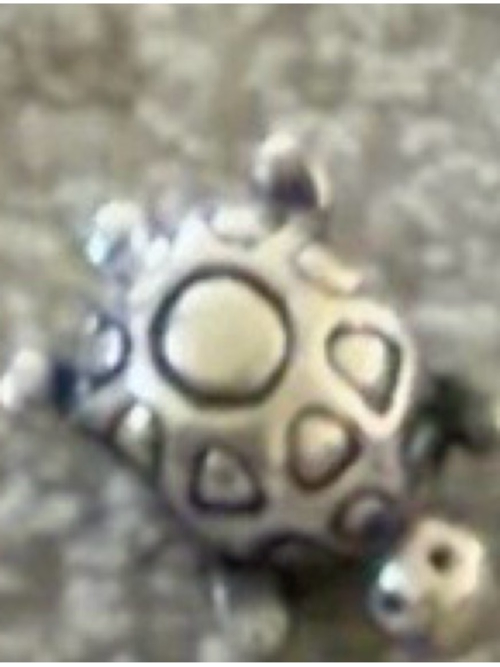 Pandora Silver Turtle Charm for Women